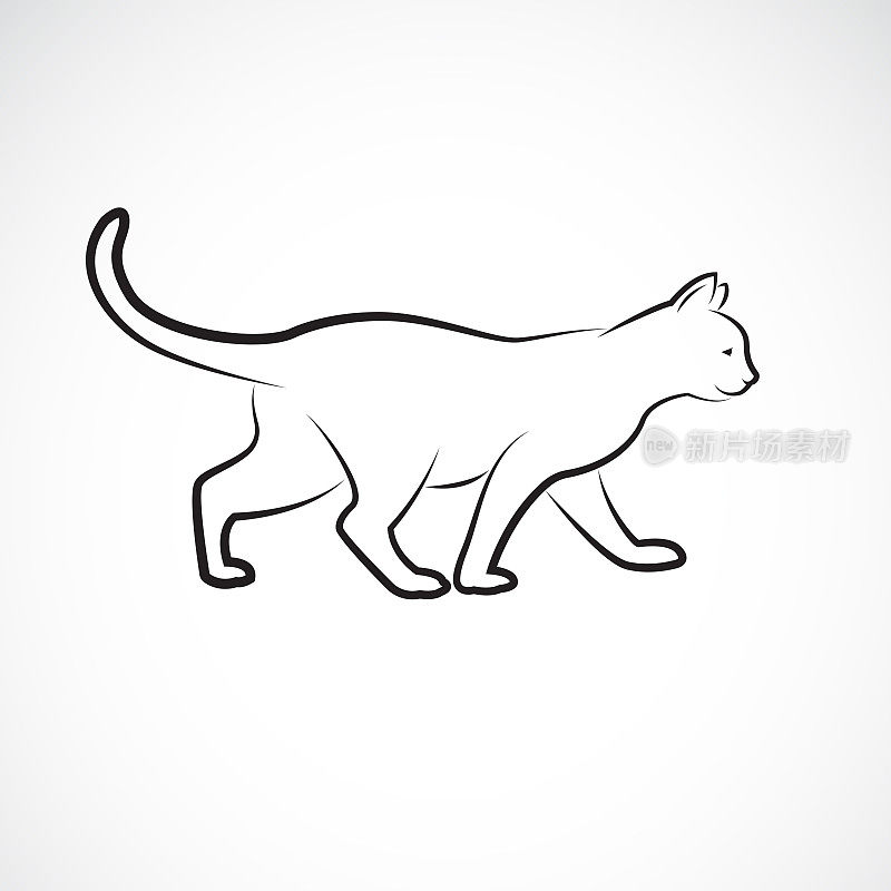 猫在白色背景上行走的矢量。宠物。动物。猫的标志或图标。易于编辑的分层矢量插图。