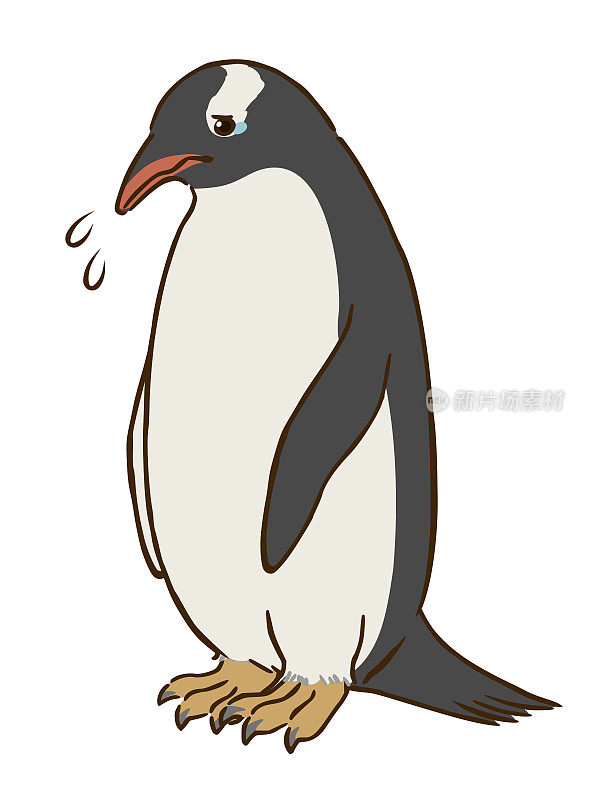 悲伤的巴布亚企鹅