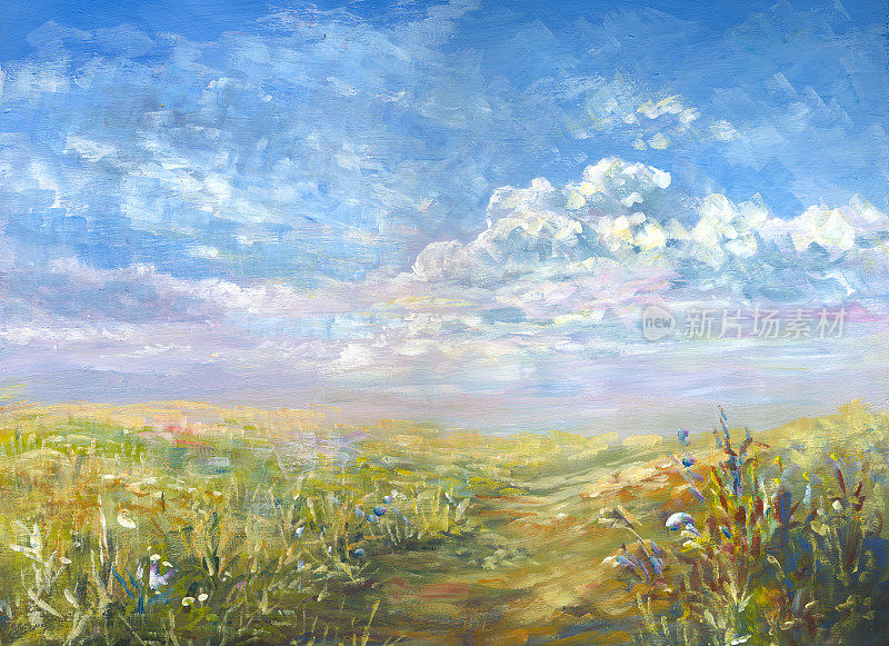 乡村的夏日风景