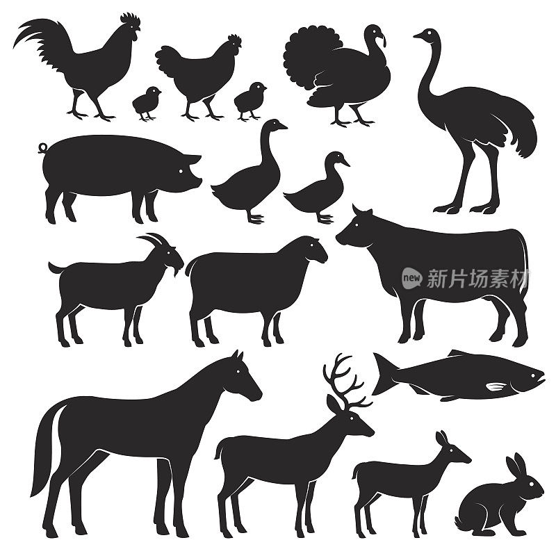 农场动物的剪影图标。