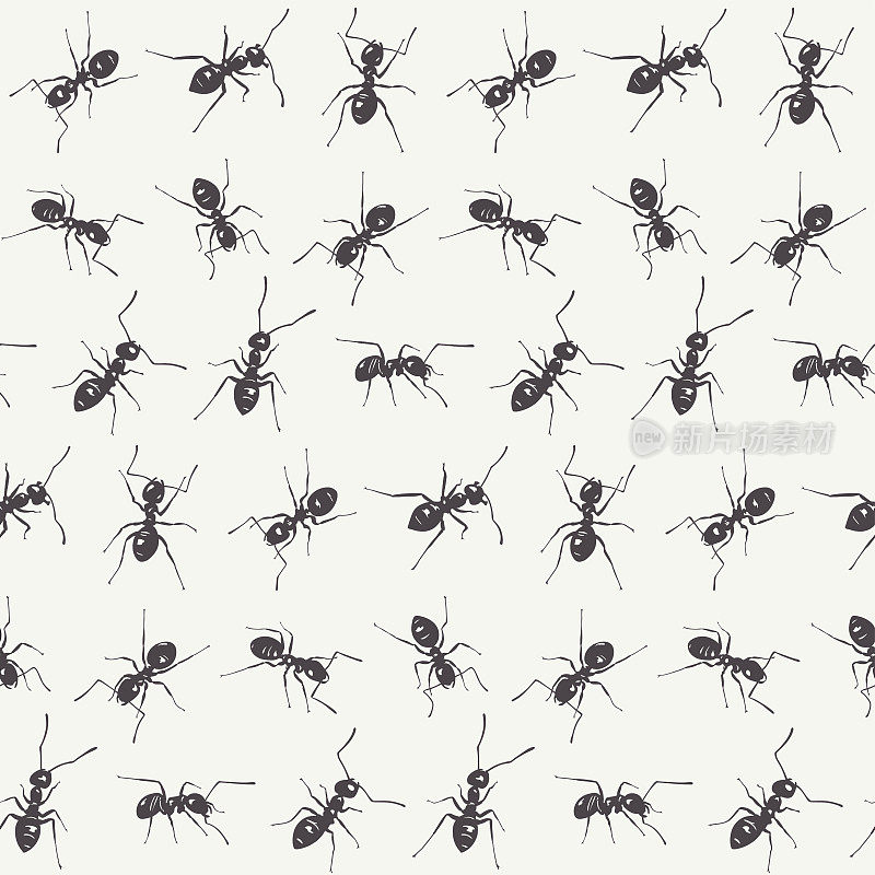 白色背景上的黑蚂蚁。向量无缝模式