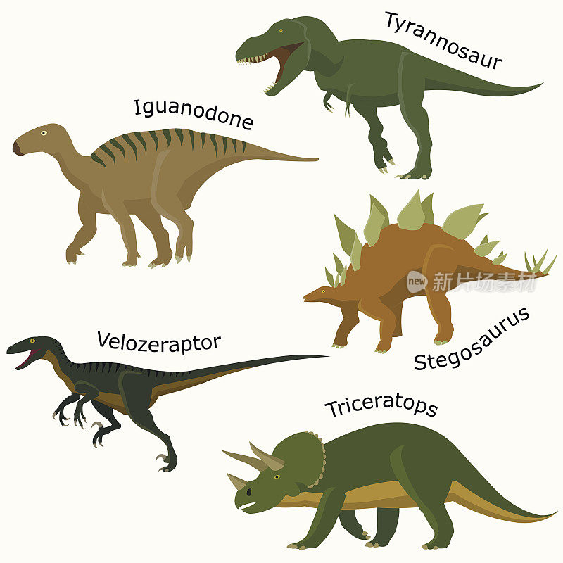 雷龙，剑龙，三角龙，迅猛龙，暴龙。侏罗纪爬行动物。