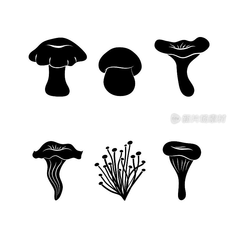 不同种类的蘑菇
