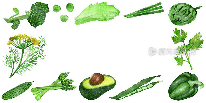 水彩框架的绿色蔬菜和健康的调味料孤立在白色的背景。