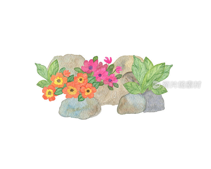 手绘水彩构图，假山园林，白色背景上孤立物体，花卉插图