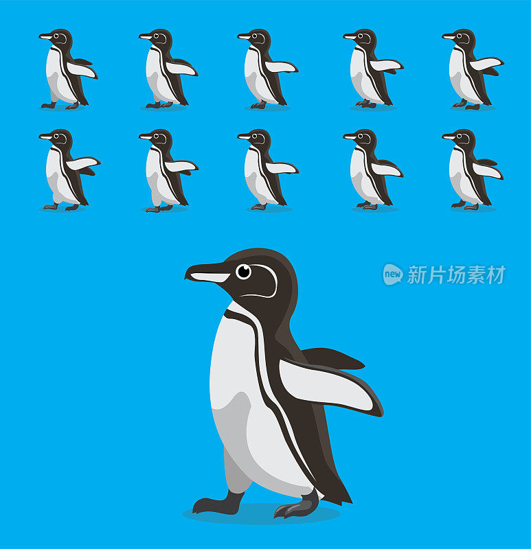 动物动画序列加拉帕戈斯企鹅卡通向量