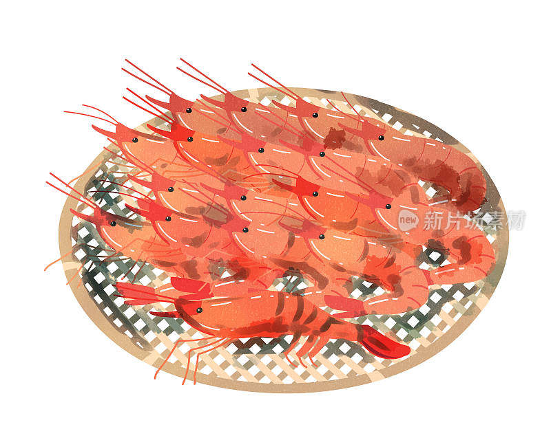粉虾(甜虾)扎鲁水彩风格