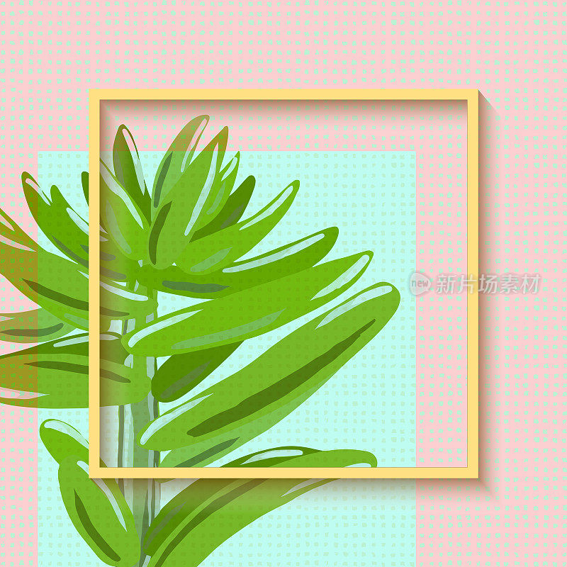 贺卡模板与手绘粉彩绿色多肉植物孤立。框架与自然抽象图案。热带背景，热带设计元素，夏季概念。党传单模板。