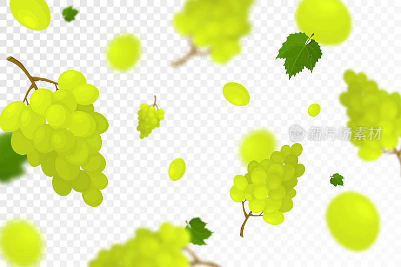 落下多汁的成熟葡萄与绿色的叶子孤立在透明的背景。飞串葡萄与散焦模糊效果。可用于墙纸、横幅、海报、印刷品。矢量平面设计