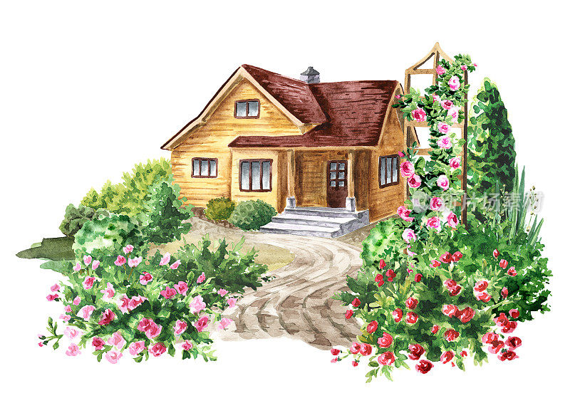 在盛开的花园里舒适的乡村小屋。手绘水彩插图，孤立在白色背景上