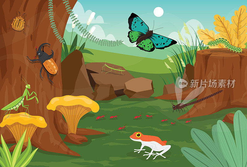 夏季自然景观优美，昆虫在夏季有飞舞的蝴蝶和蜻蜓，景象有螳螂、甲虫、青蛙、蠕虫、蚂蚁