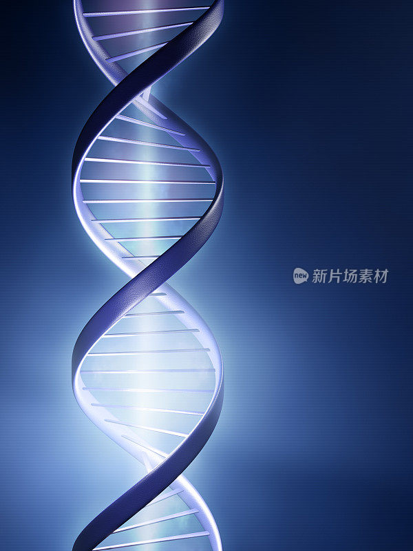 发光的DNA链