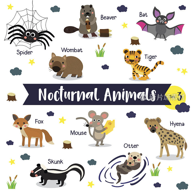 夜间动物卡通与动物的名字矢量插图。集3