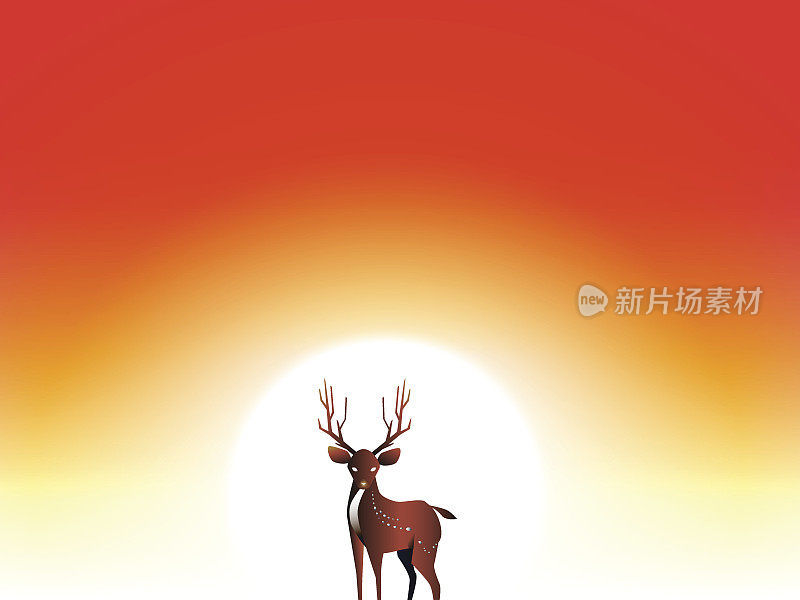 傍晚的鹿和日落