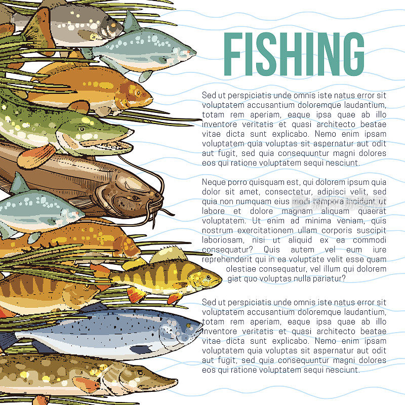 矢量海报捕鱼或海鱼产品