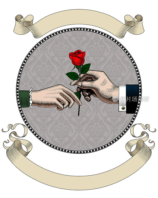 男人的手给女人一朵红玫瑰和一条旧丝带