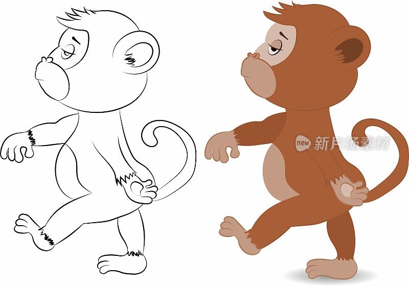 可爱的自以为是的猴子黑猩猩行进。平面明亮的颜色简化矢量插图在有趣的卡通风格设计。着色书的大纲。