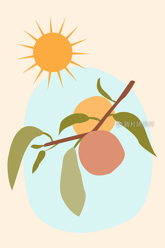 极简的树枝与桃果和阳光明媚的天气