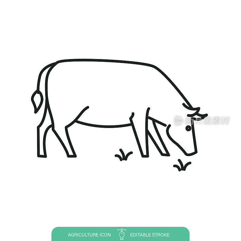 简单的牛牛肉农场线图标在一个透明的背景