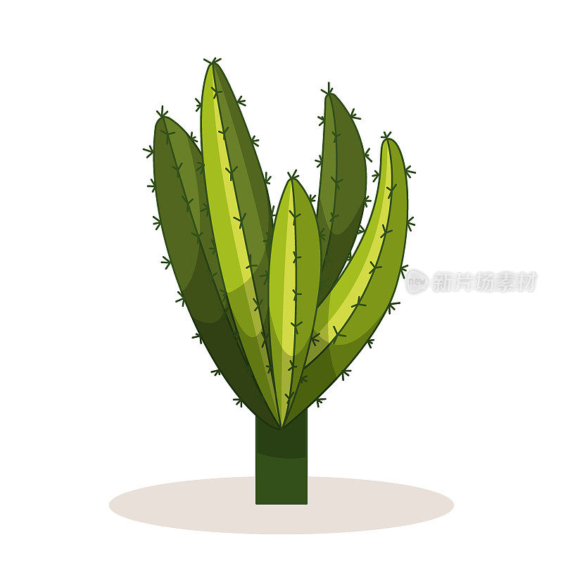 仙人掌的刺。墨西哥一种有刺的绿色植物。沙漠和南部景观的元素。卡通平面矢量插图。孤立的白色背景。