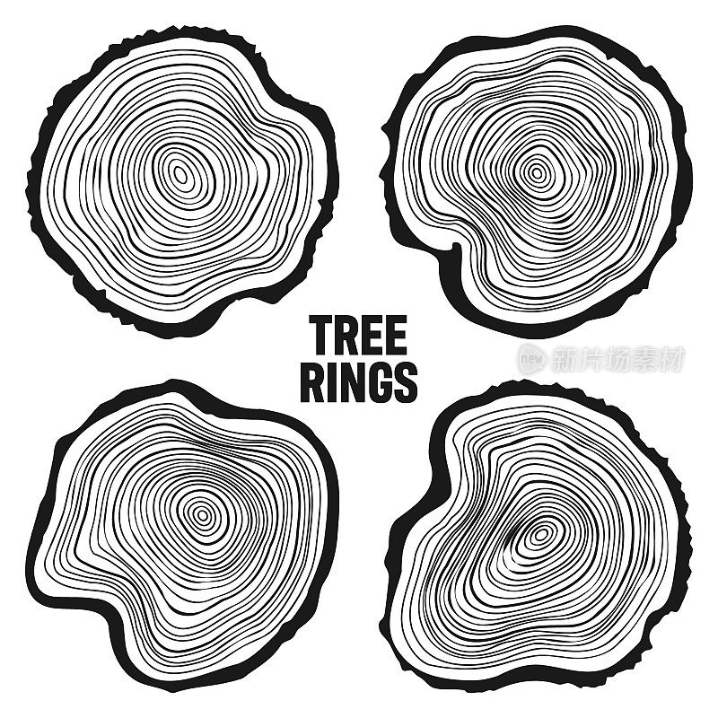圆树干切割，锯松或橡树片，木材。锯切木材，木材。木质纹理与树木年轮。手绘草图。矢量图