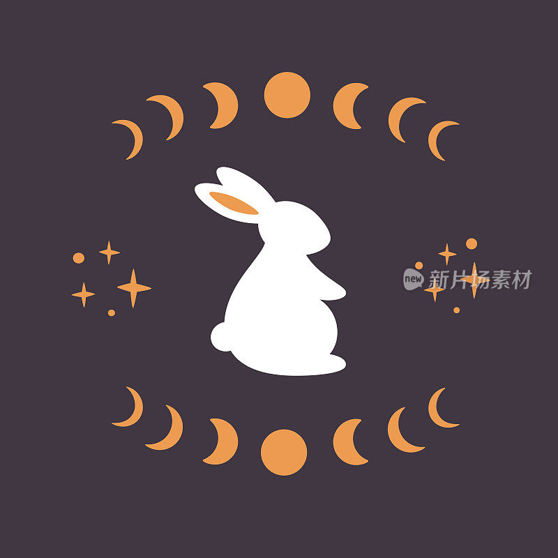 可爱的小白兔与占星，深奥的元素。月相，星星，魔法。兔年。手绘矢量插图