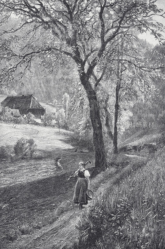 伊姆・维森格兰德，《黑森林》:年轻的农妇背着耙子和篮子走在田间小路上