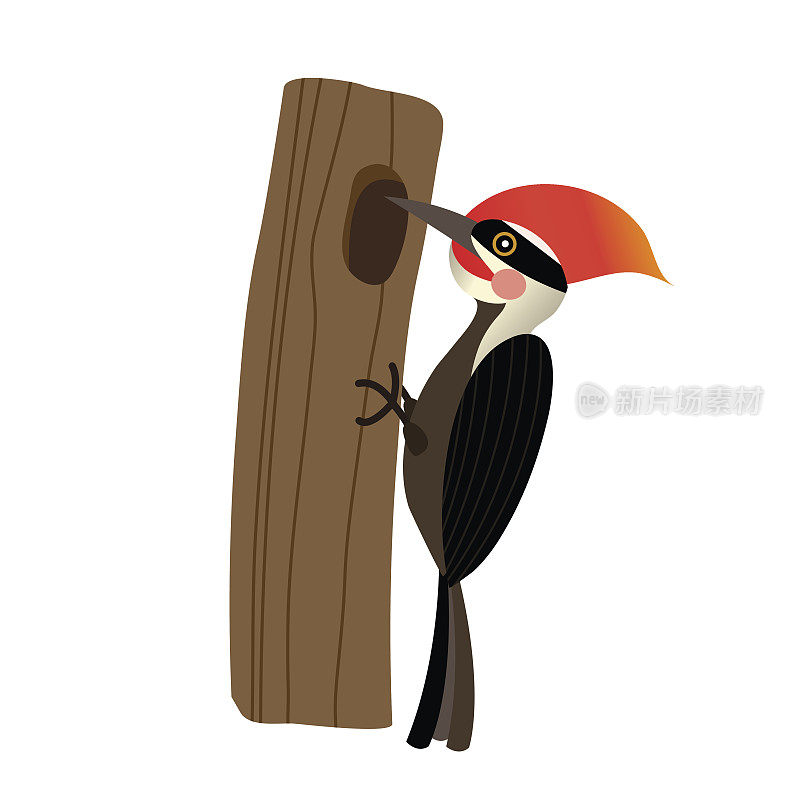 啄木鸟动物卡通人物矢量插图。