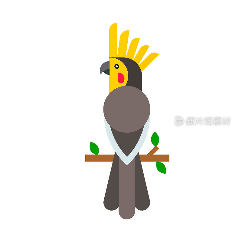 鹦鹉鸟类品种动物自然热带长尾小鹦鹉教育彩色宠物载体插图