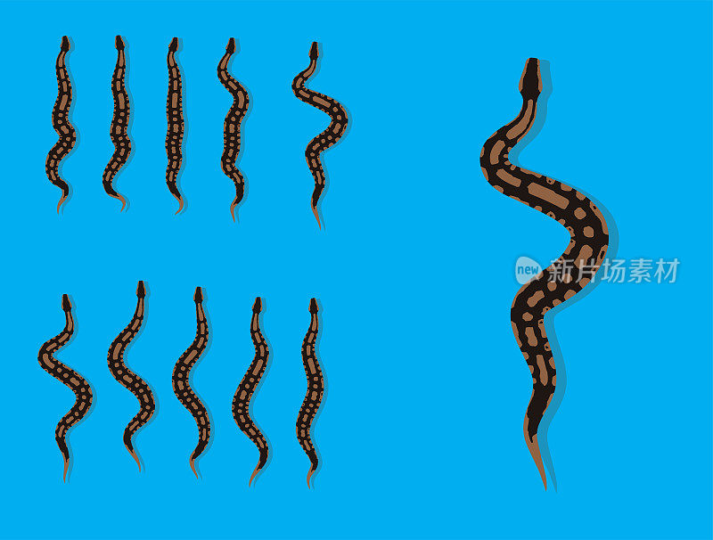 动物动画序列皇家蟒蛇卡通矢量