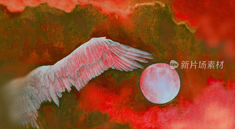 水彩插画画满月的翅膀自由飞翔的鸟在夜晚的背景红天空与云彩
