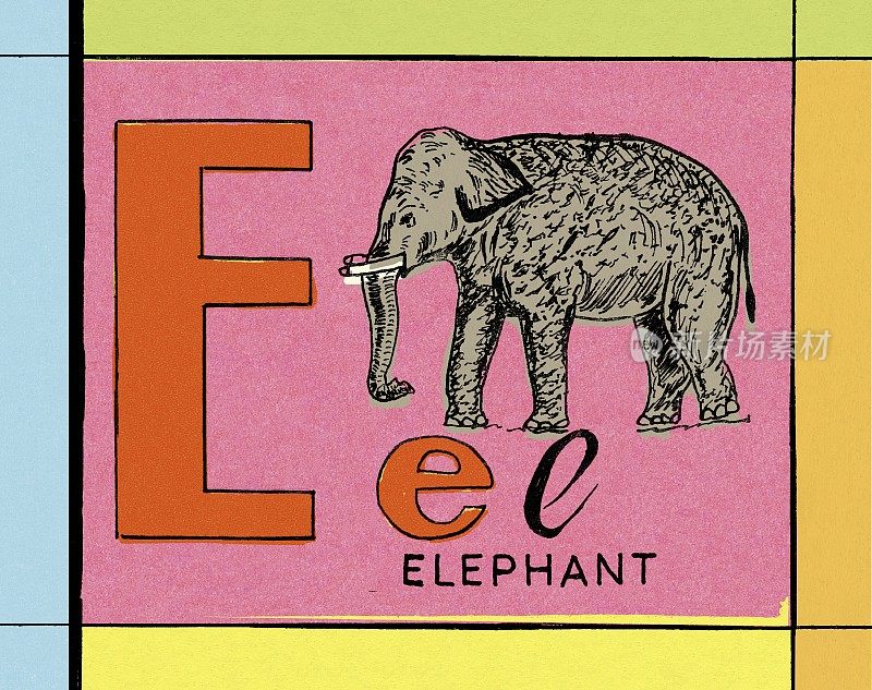E代表大象