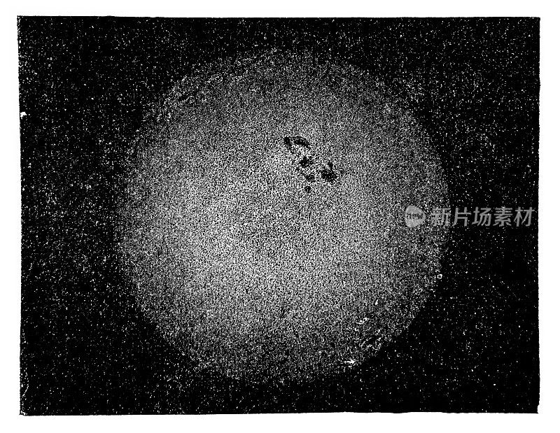 19世纪的太阳照片