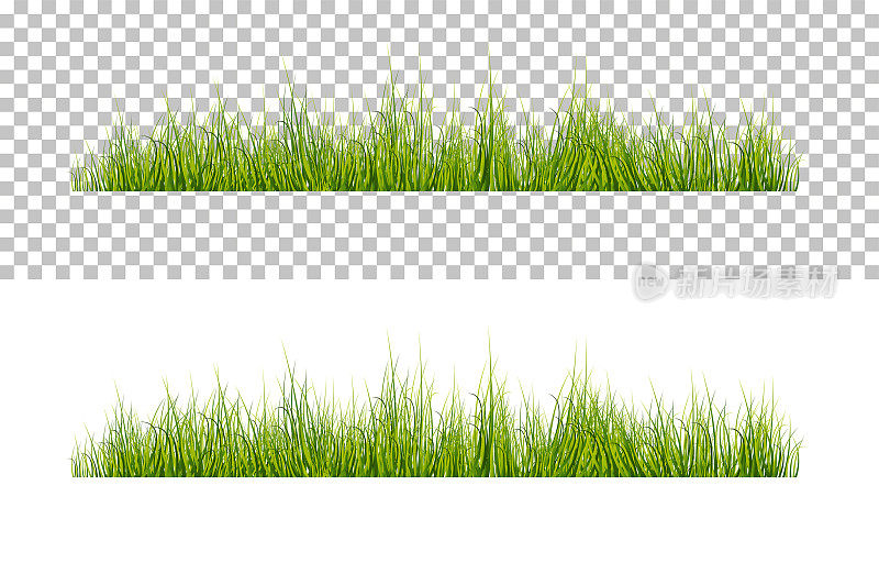 矢量明亮的绿色现实的草孤立在透明的背景
