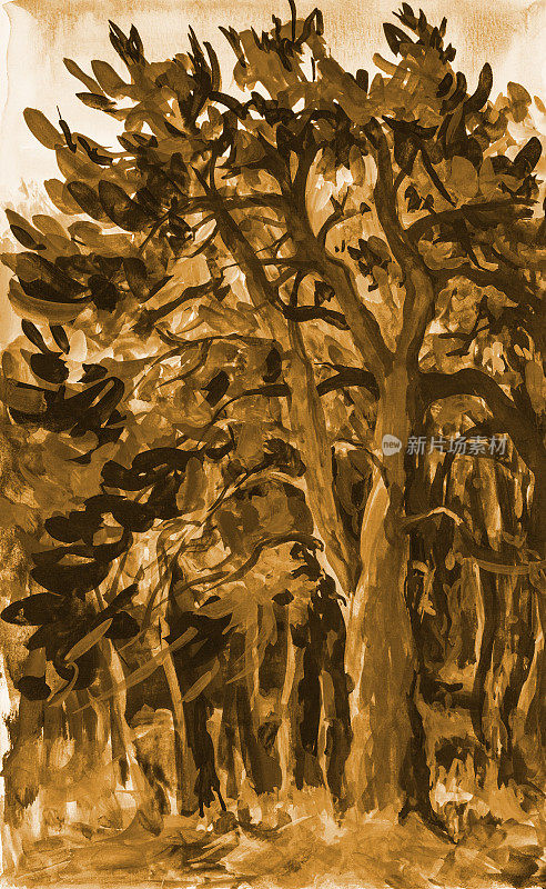 插图深褐色景观中的秋季森林油画阳光下的松树林映衬着其他树和草的阳光天空