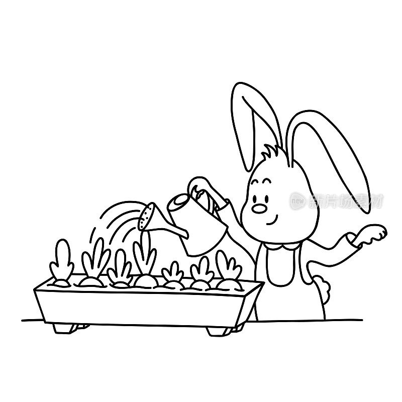 可爱的兔子正在给花盆里的胡萝卜浇水。园艺和农业。圣诞节，新年和复活节等高线矢量插图。卡通风格的兔子集合。幽默