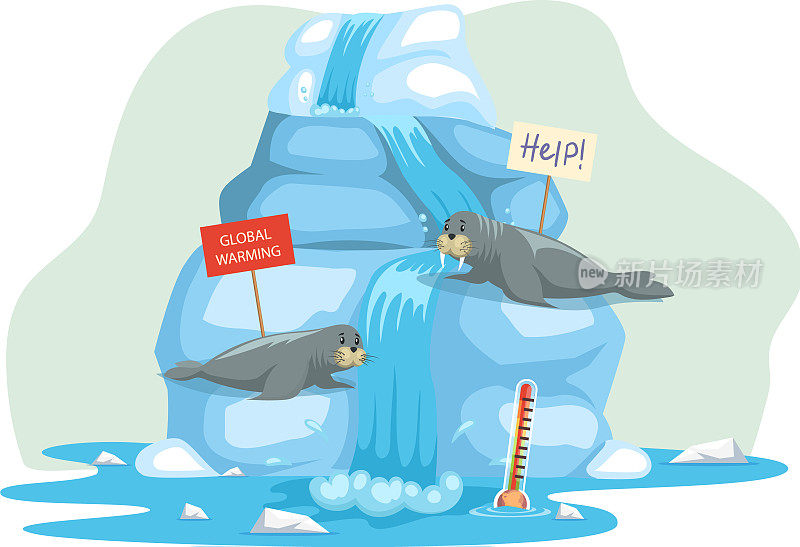 冰川上的海象寻求帮助。动物在全球变暖期间，水温升高