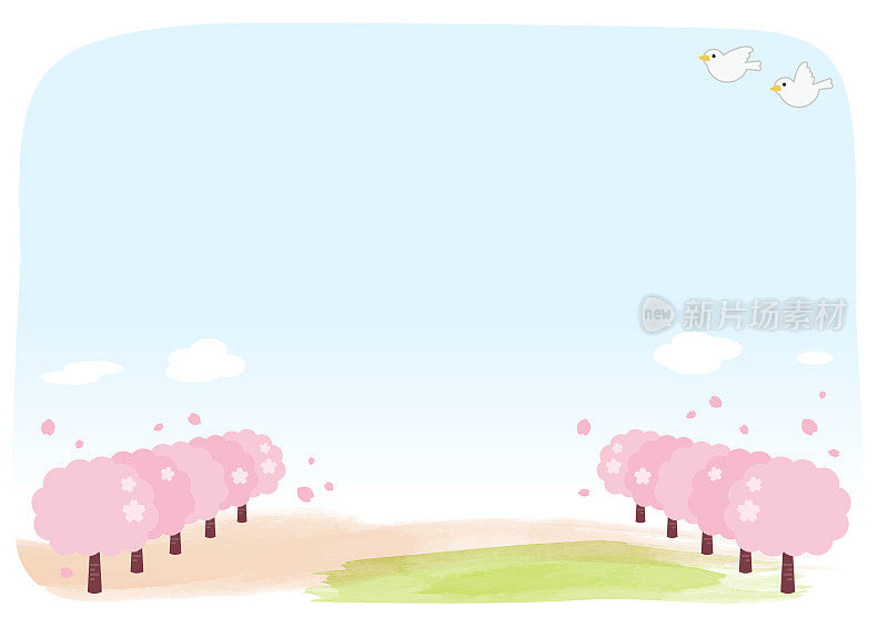 樱花树和蔓延的蓝天，背景的飞鸟，框架