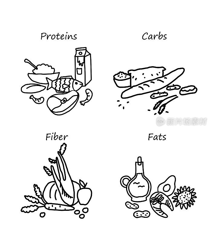 一套宏量营养素。蛋白质，脂肪，碳水化合物和纤维以食物的形式存在。涂鸦风格的食物分类。产品矢量图