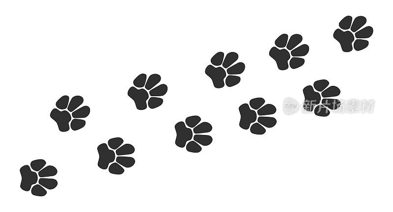 猫爪带菌者的脚印。狗，图案动物的足迹孤立在白色背景，背景