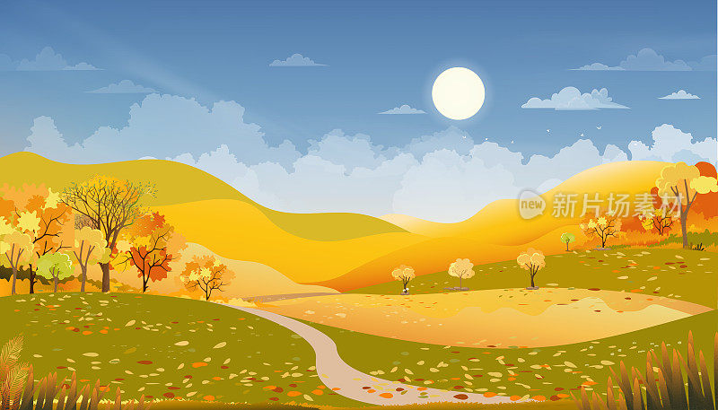 秋天的乡村景观农场田野和森林树木与蓝天，矢量卡通横向秋天风景自然乡村与早晨日出，秋季为感恩节的背景