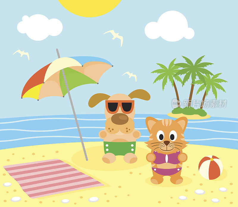 夏天的背景与猫和狗在海滩上
