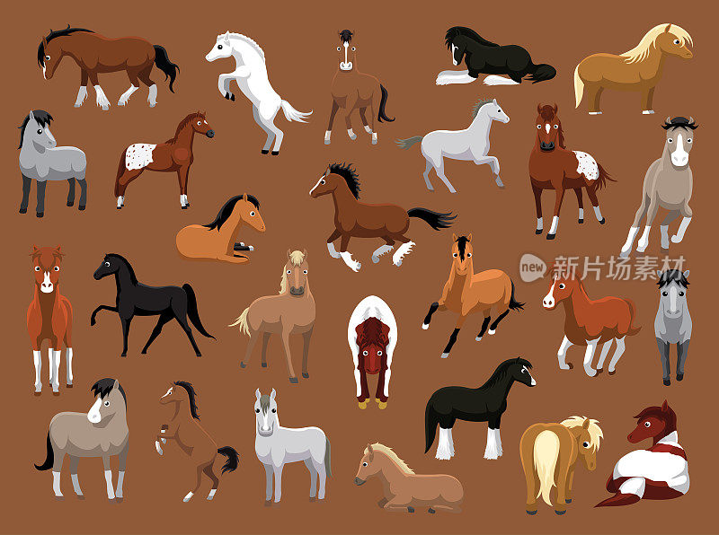 各种马的姿态卡通矢量插图