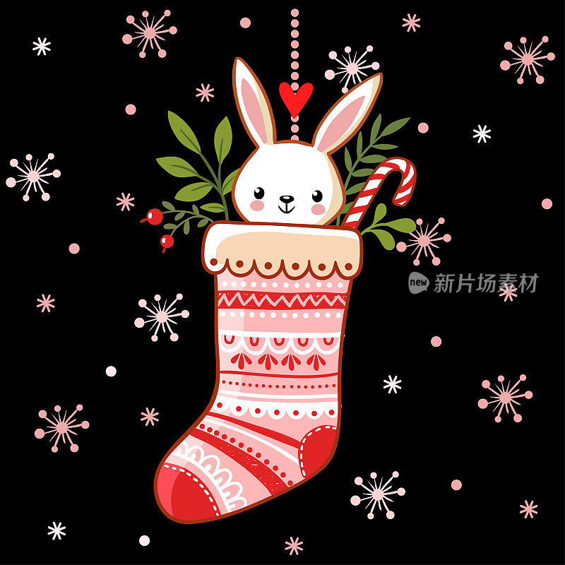 可爱的兔子在圣诞袜。
