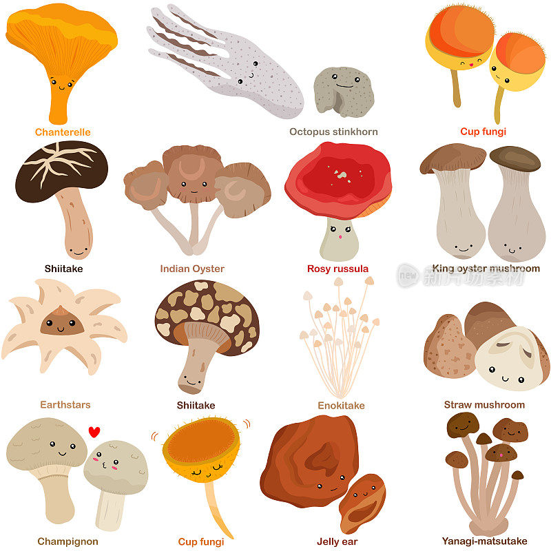 可爱的蘑菇向量蘑菇笑脸。彩色的涂鸦插图孤立在白色的背景