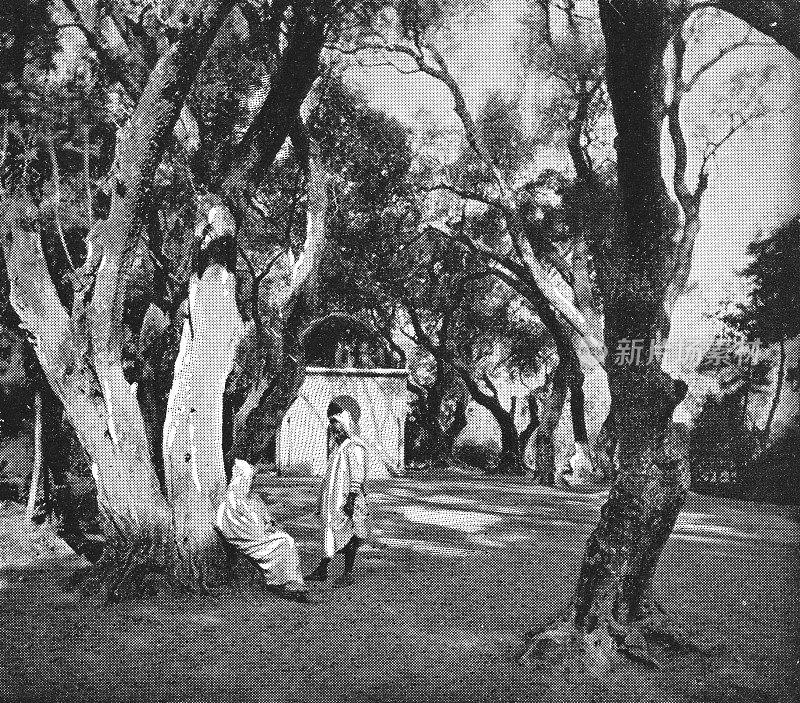 西班牙格拉纳达阿尔罕布拉花园中的两个男人――19世纪