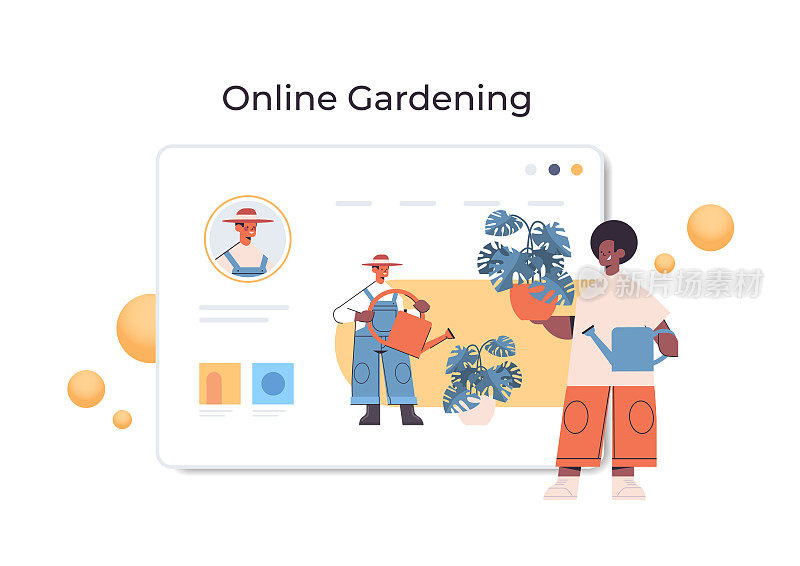 非裔美国人园丁可以浇植物，同时观看虚拟的在线园艺课程