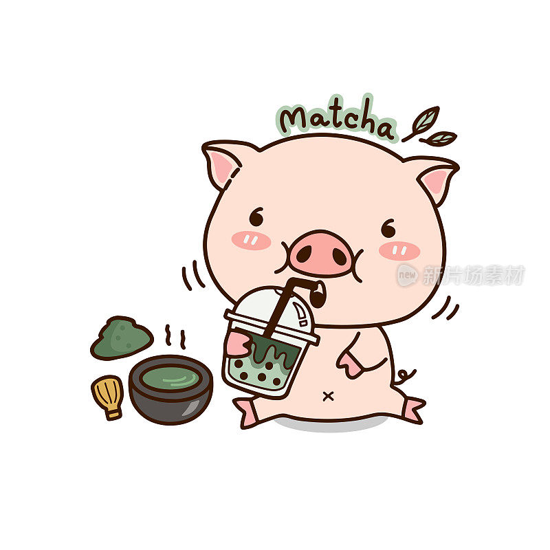 可爱的猪喝绿茶卡通，矢量插图