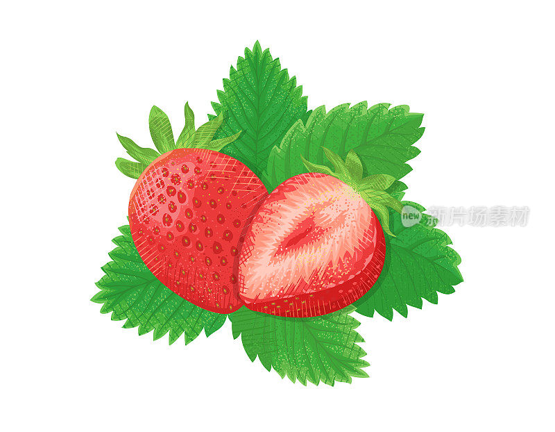 草莓剪贴画，矢量插图