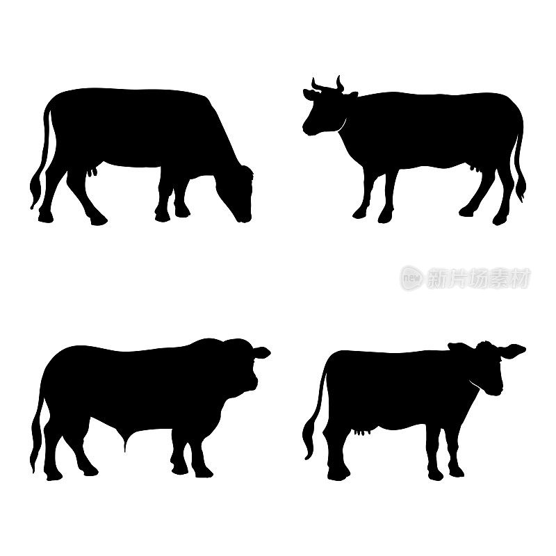 奶牛的剪影。简单的图标与奶牛，农业生产的牛奶和肉类